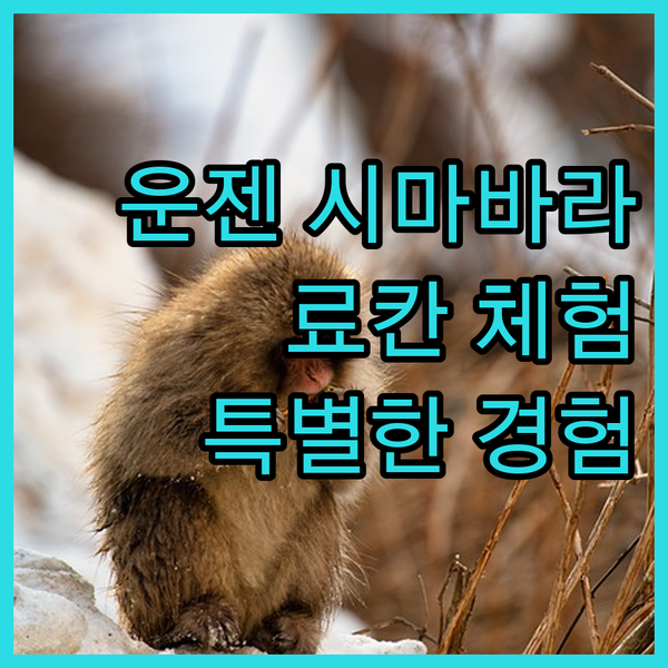 운젠 시마바라, 료칸에서 즐기는 특별..