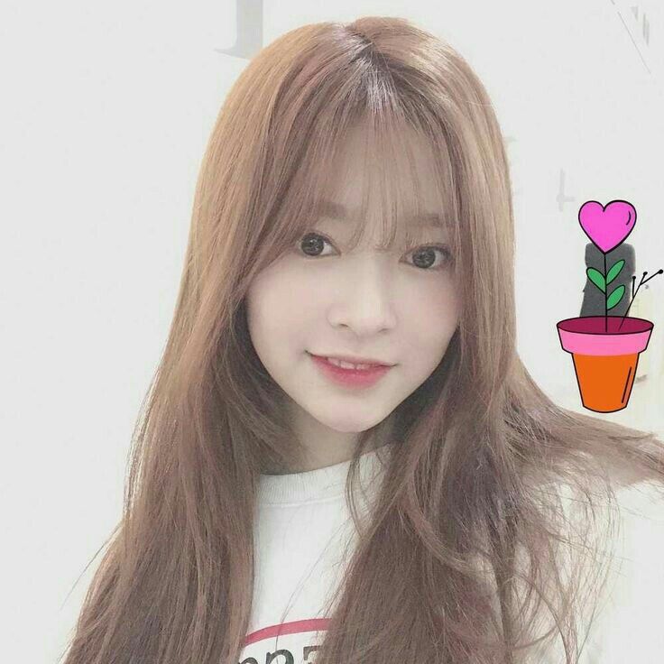 아이즈원 김민주 최애사진