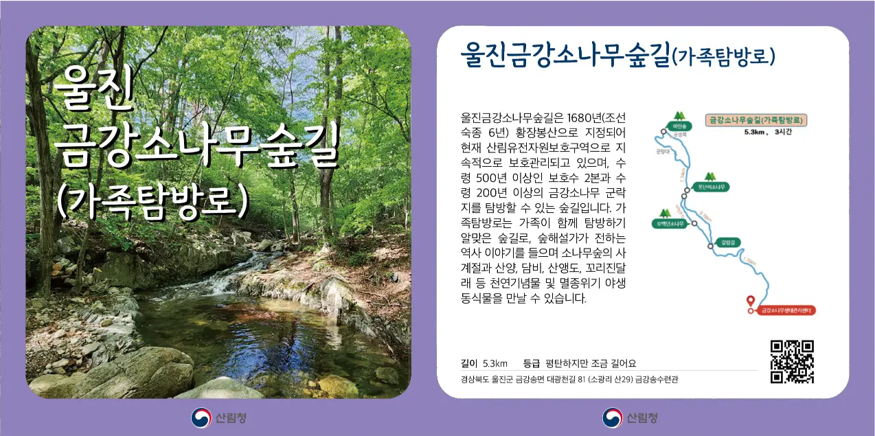 울진금강소나무숲길(가족탐방로)