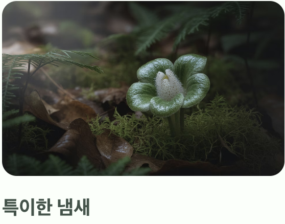 벌과 나비 대신 '개미'를 선택한 이유