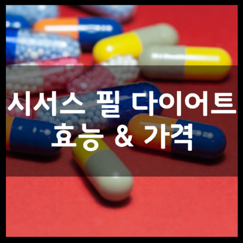 이나영-시서스-필-다이어트-썸네일