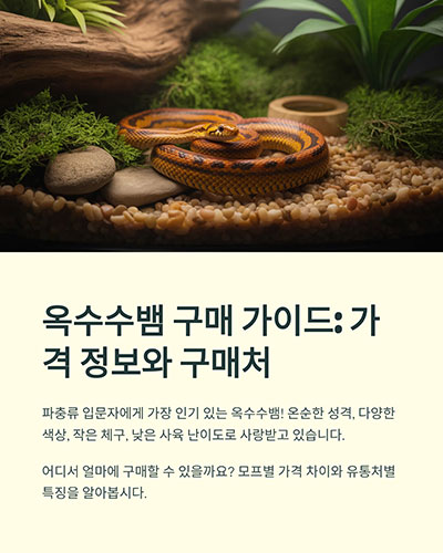 옥수수뱀 구매 가이드: 가격 정보와 구매처