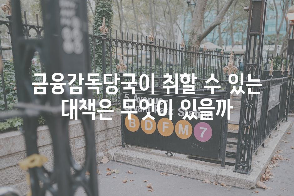금융감독당국이 취할 수 있는 대책은 무엇이 있을까