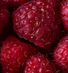 섬유근육통에 좋은 음식 영양제 식단