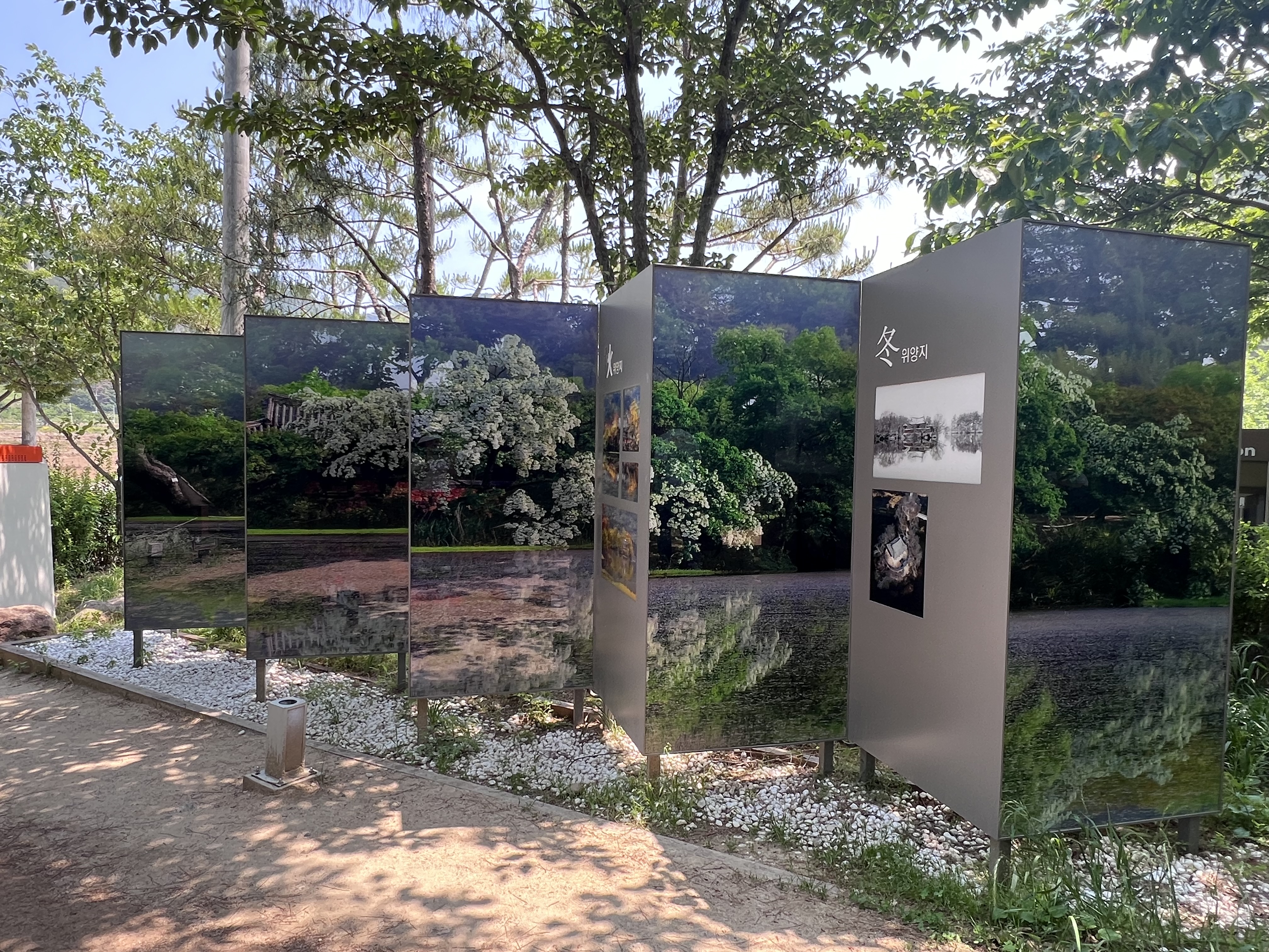 위양지 입구, 위양지 이팝나무 전경, 위양지 이팝나무