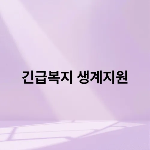 긴급복지 생계지원