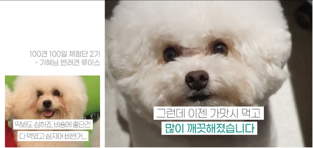 극한직업-펫푸드공장