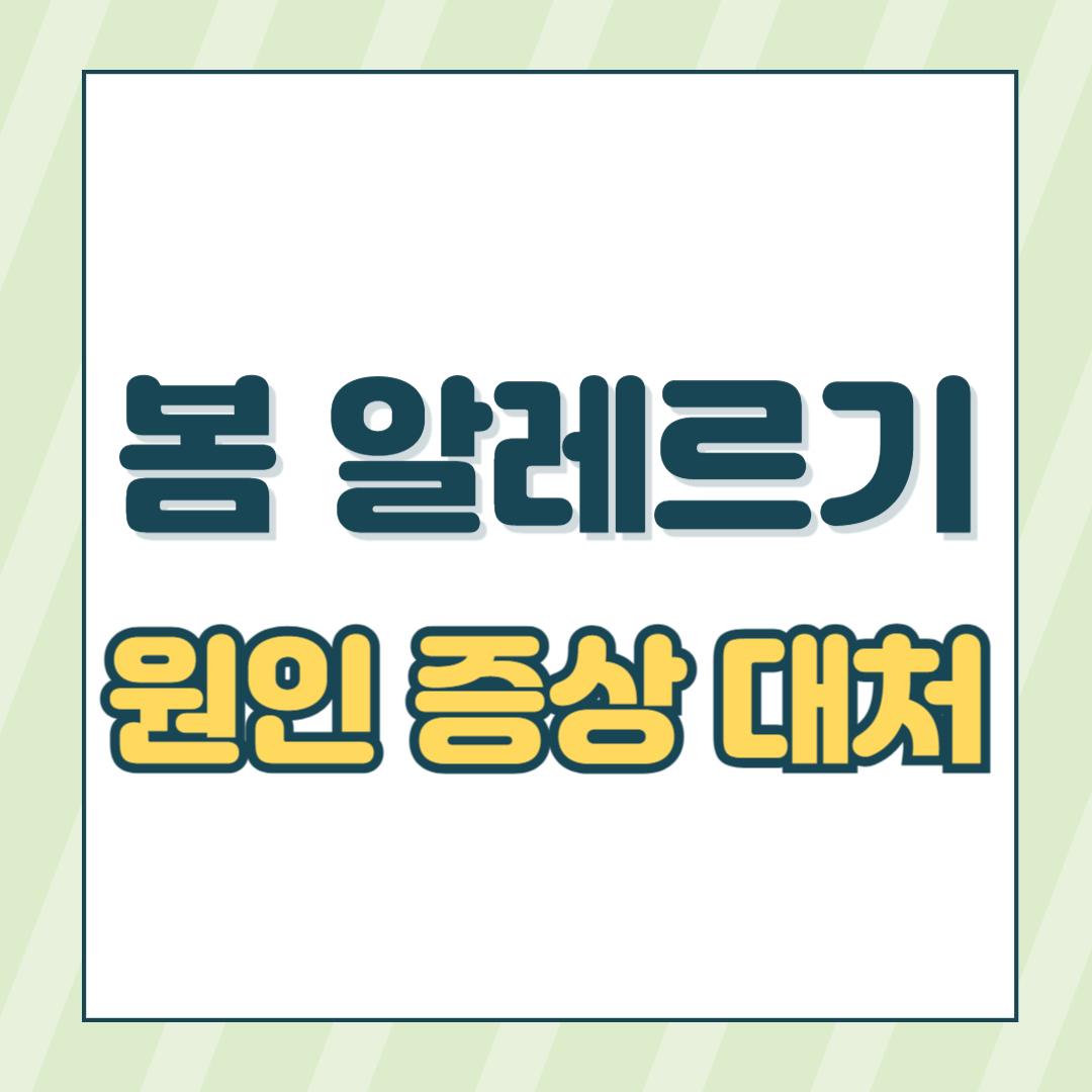알레르기썸네일