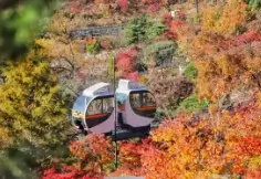 화담숲 모노레일 도보 코스 완벽 가이드