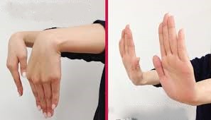 손목스트레칭