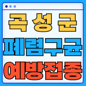 전라남도 곡성군 폐렴구균 백신 무료 예방접종 비용지원 가격 신청방법 대상자 간격 13가 15가 20가 23가