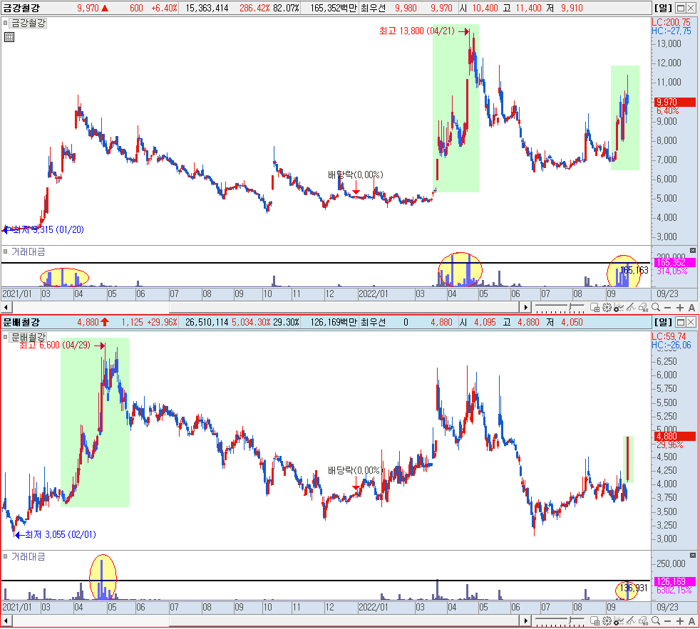 금강철강과 문배철강의 멀티 차트