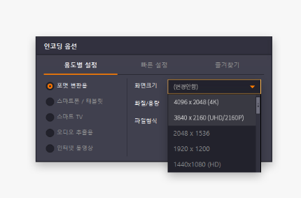 인코딩 옵션