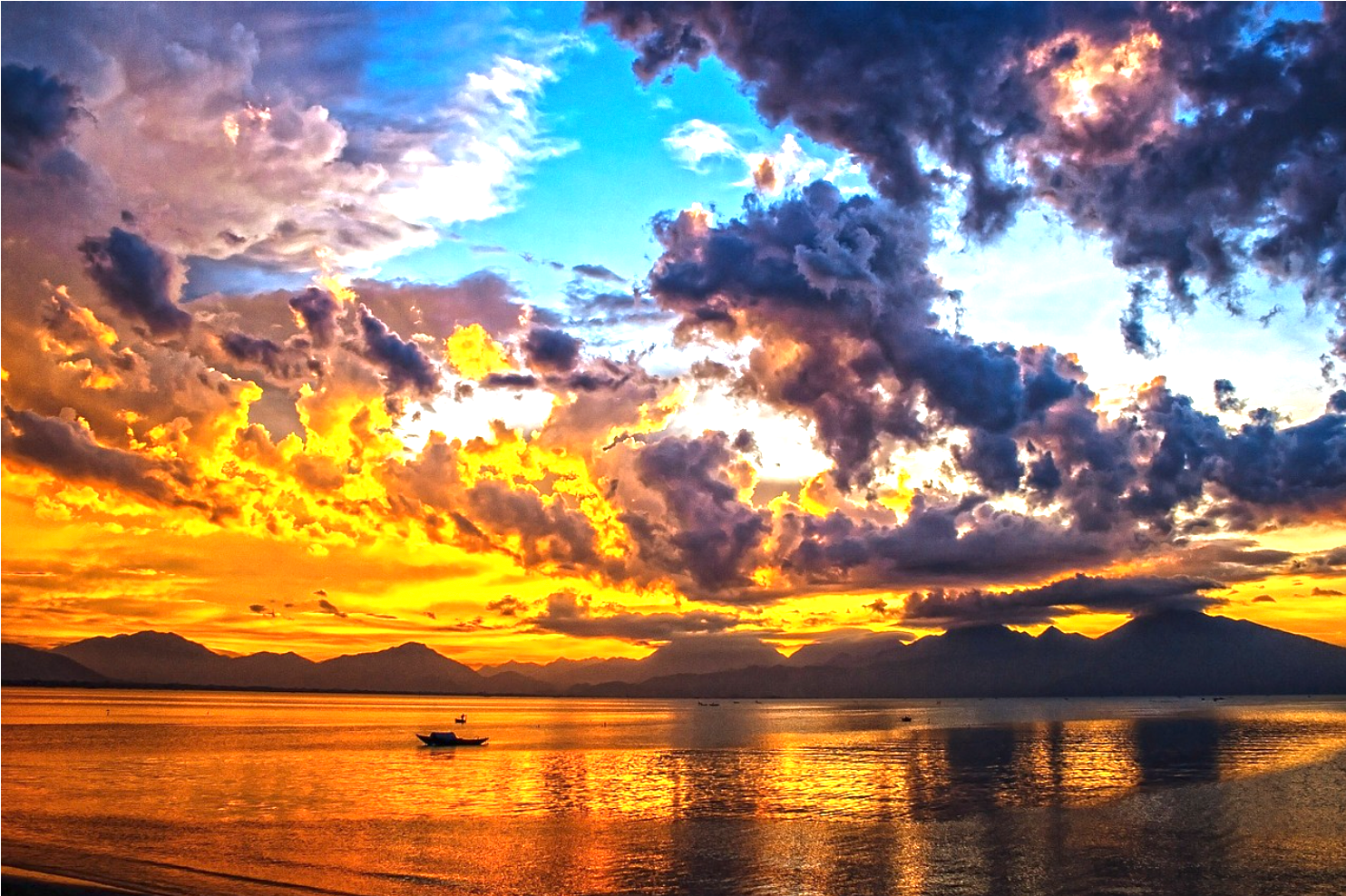 트로피컬 하우스: 태양과 바다의 감성을 담다