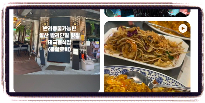 생생정보 핫플레이스Now 일산밤미단길 태국요리 후기
