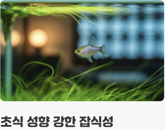 먹이 - &amp;#39;채식&amp;#39;을 즐기는 미식가