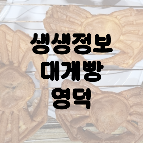 생생정보 영덕 대게빵 교통카드면 충분해