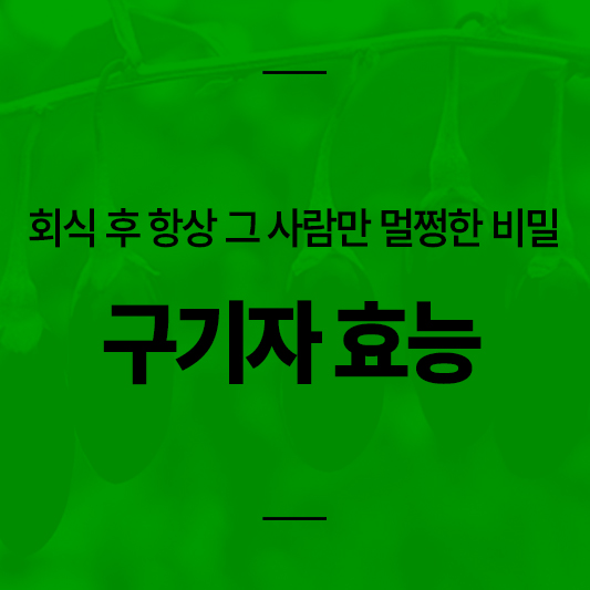 구기자 효능