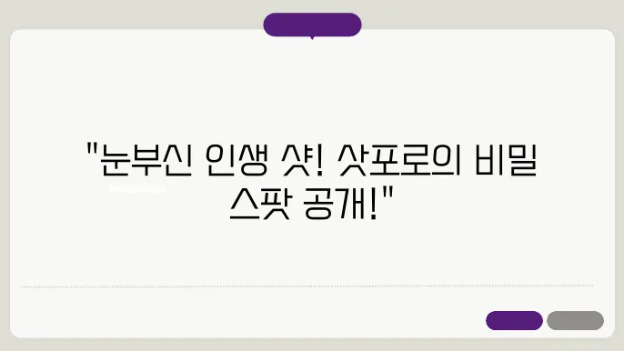 삿포로 기념 촬영 스팟, 이곳에서 찍어야 인생 사진 인정받습니다!