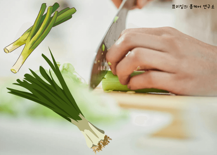 대파보관법에 대해서