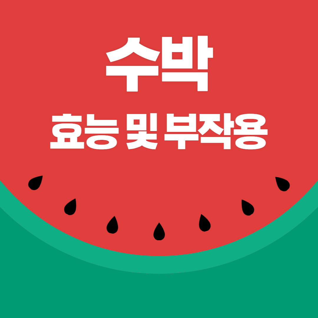 수박 효능 부작용 주의사항 이점
