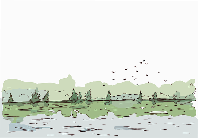 청계천·도림천·안양천 등 서울 하천 29곳 통제 현황과 안전 수칙