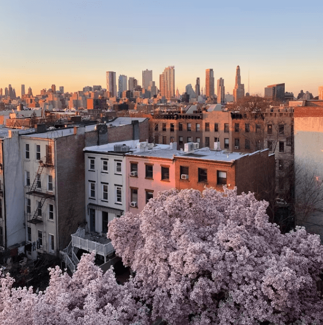 뉴욕 여행 경비 절약 팁: 초저가 항공권부터 숙소까지