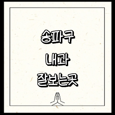 서울 송파구 내과