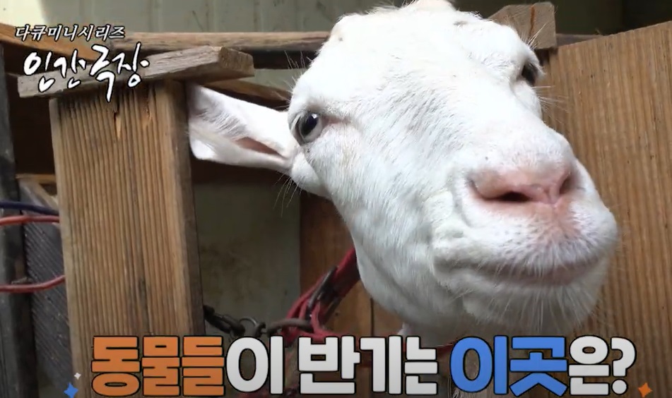 인간극장-데레사의꽃밭-