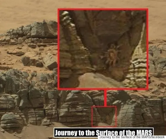 화성에서 생명체 발견 NASA 발표 정리_4