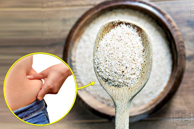 복부 체지방 빼는 음식 차전자피