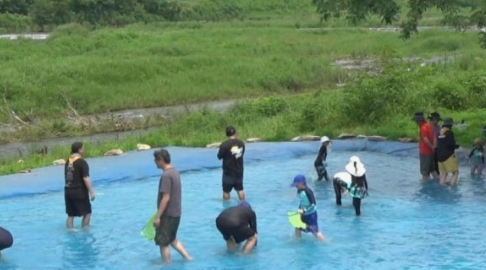 메기 잡는 모습