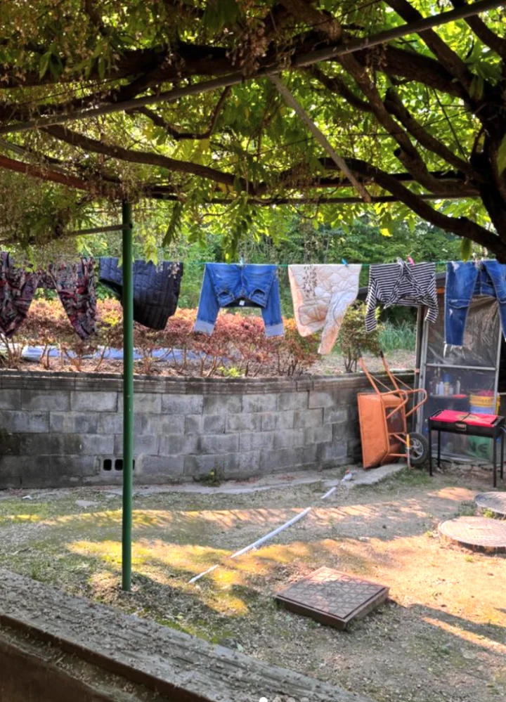 나혼산 - 해 뜨는 집