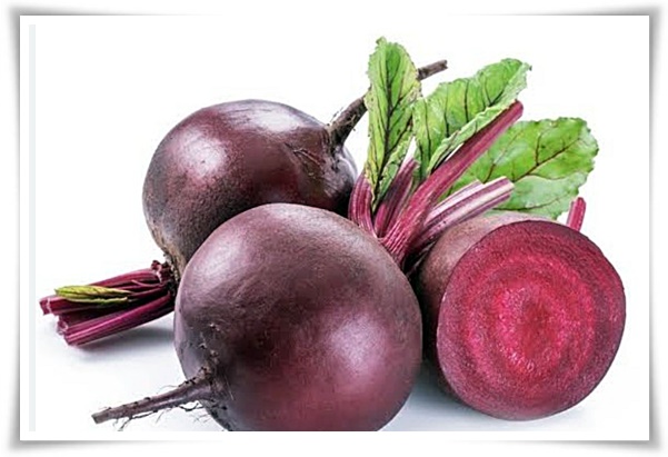 텃밭 "7월에 심기 좋은 작물" 가을 수확을 기대하는 황금 작물!