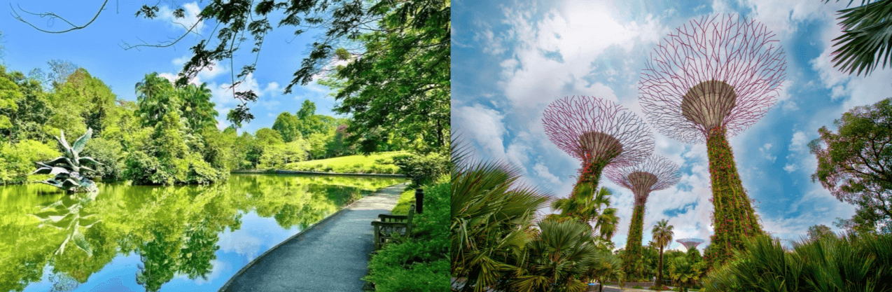 아시아 식물원의 아름다운 전경