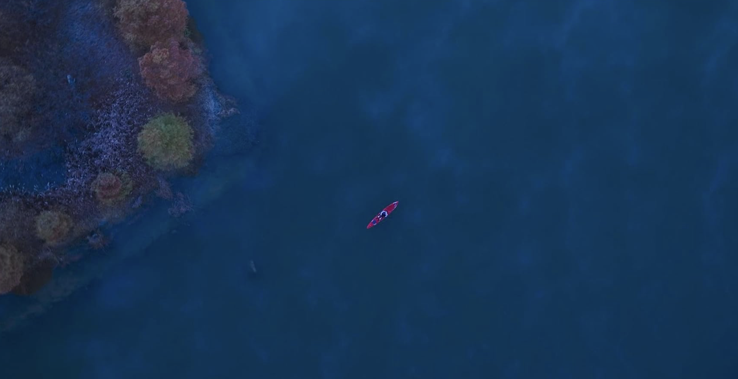 트렁크 원작 줄거리