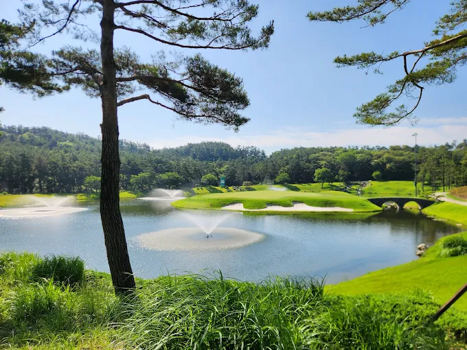 안산 대부도 아일랜드CC (더헤븐CC) 소개 및 이용방법