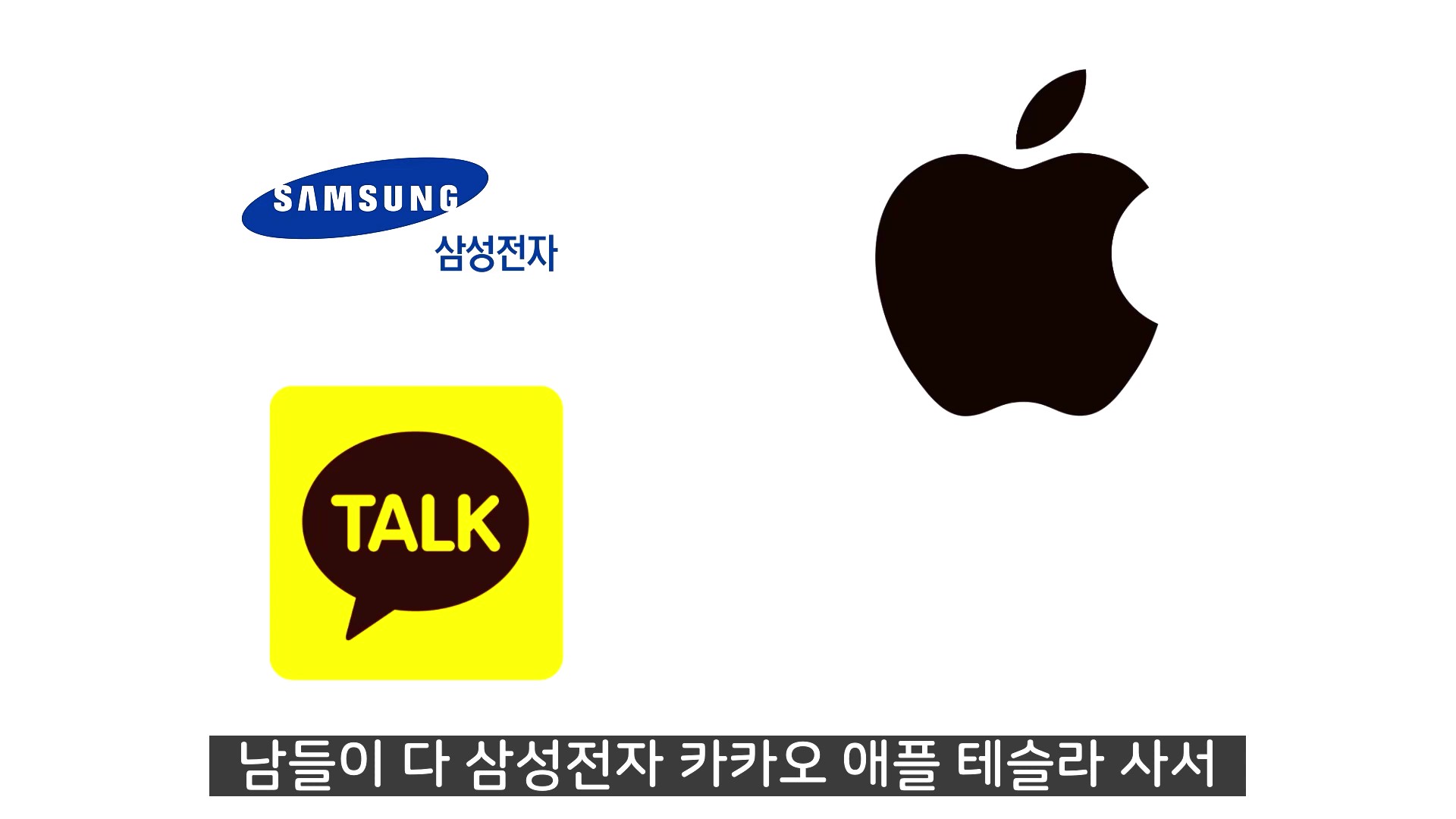 삼성전자 카카오 애플 테슬라 로고