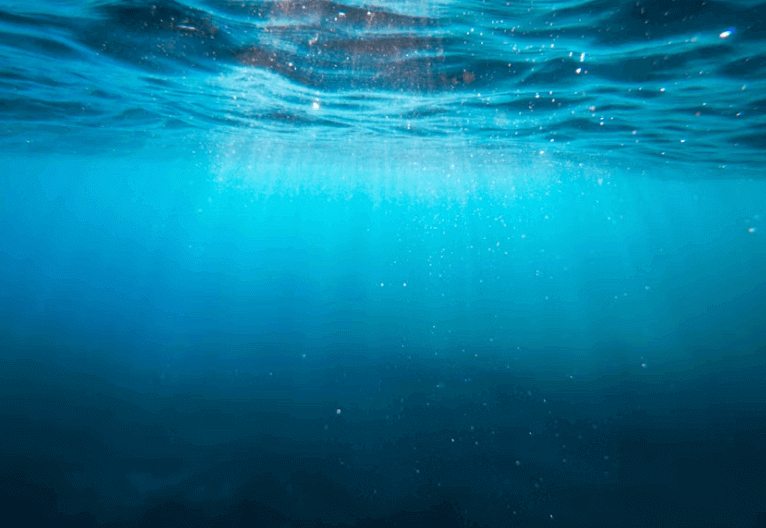 5월 바다가는 달 숙박 레저 패키지 할인 쿠폰