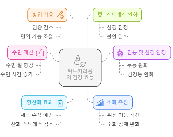 락투카리움 효능