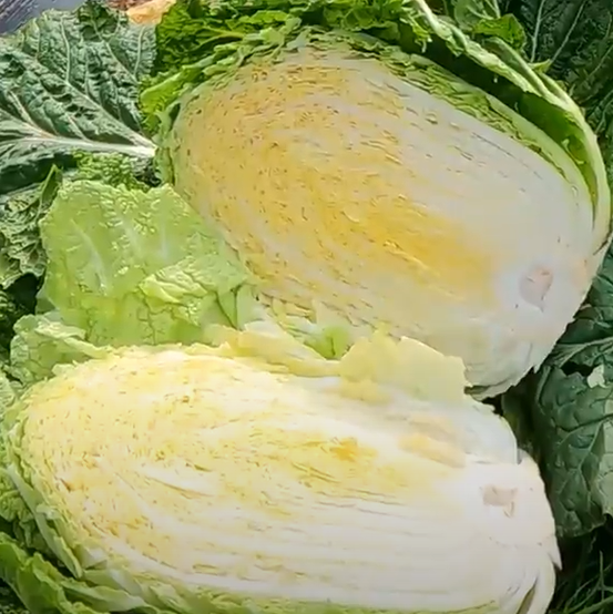 지역별 절임배추 특징(해남, 괴산, 제주, 강원 고랭지), 김장철 필수 선택 정보