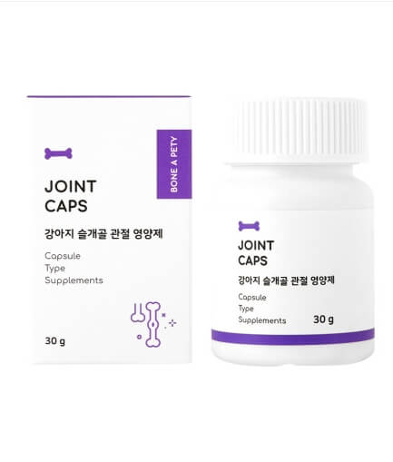 강아지 관절 영양제 추천