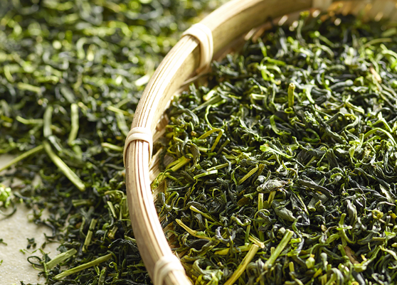 피부 노화는 자연스럽게 진행되는 생체 과정