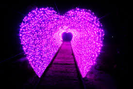 겨울 안면도 꽃지해변 일몰부터 빛축제 2박 3일 코스 가이드