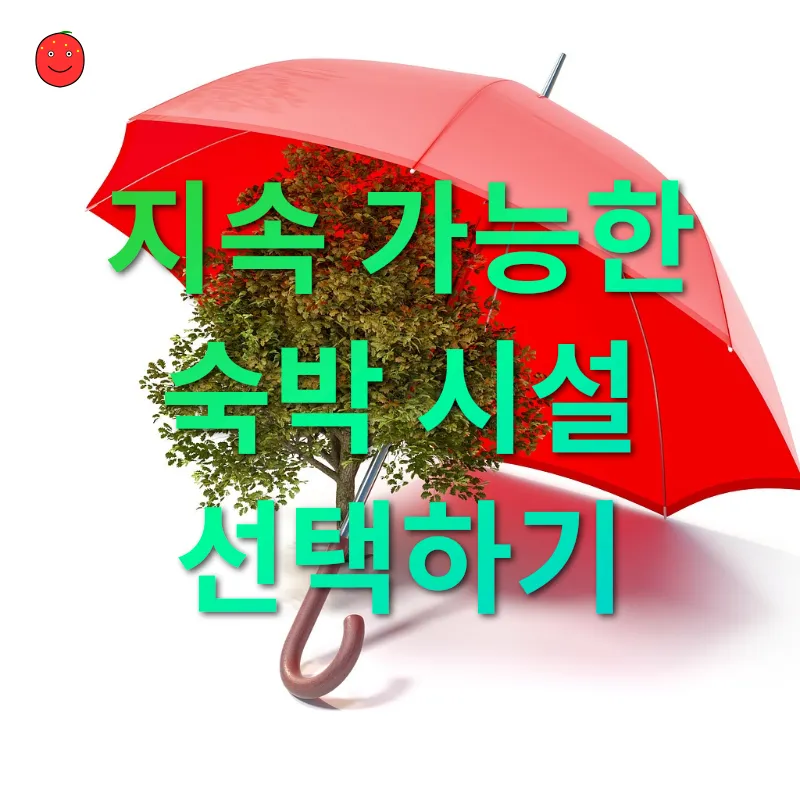친환경 여행_2
