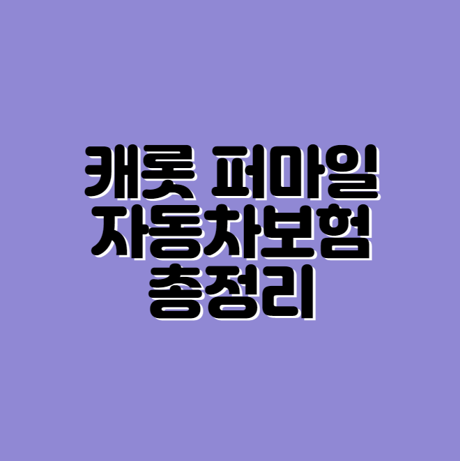 캐롯 퍼마일 자동차보험 총정리
