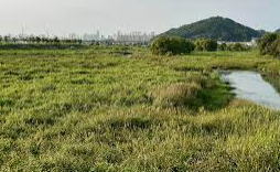 계룡산 국립공원 실시간 cctv