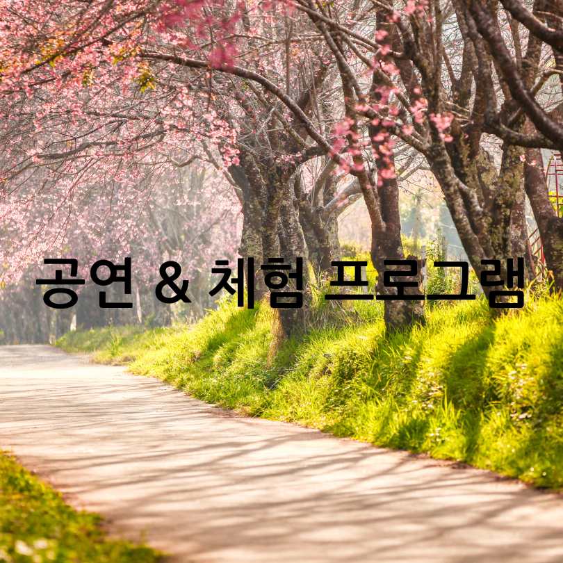 2025 영등포 여의도 봄꽃축제