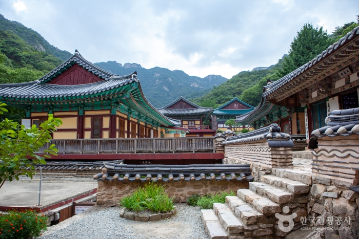 공주 가볼만한곳 베스트10