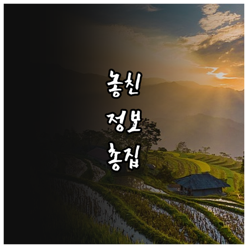 장애인 다자녀 2025 인천 중구 공..